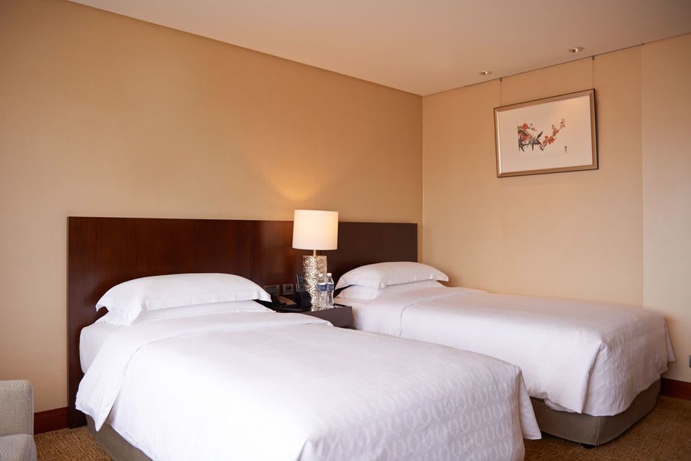 디럭스룸, 싱글2