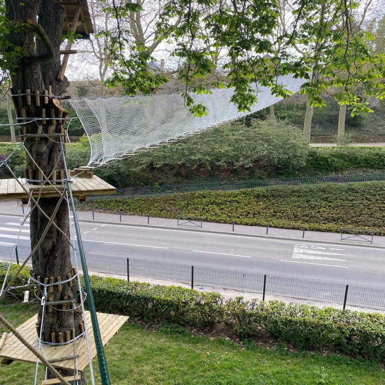 나무 플랫폼과 그물 코스는 도로 위의 높은 나무와 공원 구역의 덤불 주변에 지어집니다.