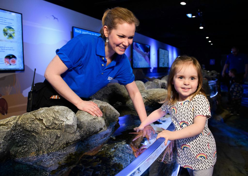 파란 셔츠를 입은 어른과 어린 아이가 바위와 수족관 디스플레이로 둘러싸인 수족관 터치 탱크에서 물을 만지고 있습니다.