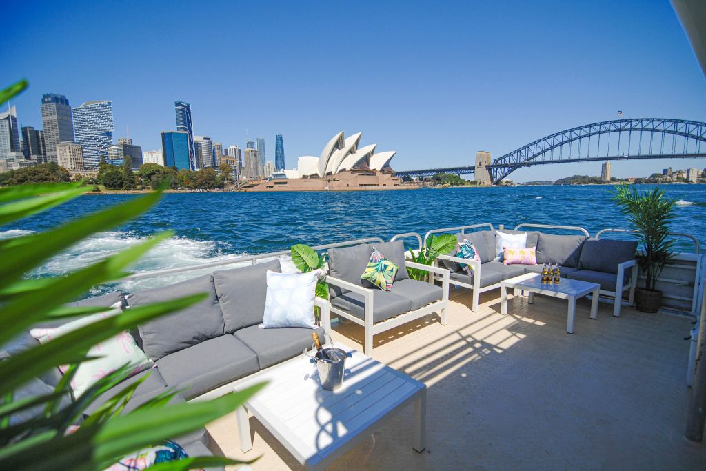 프리미엄 비비드 크루즈