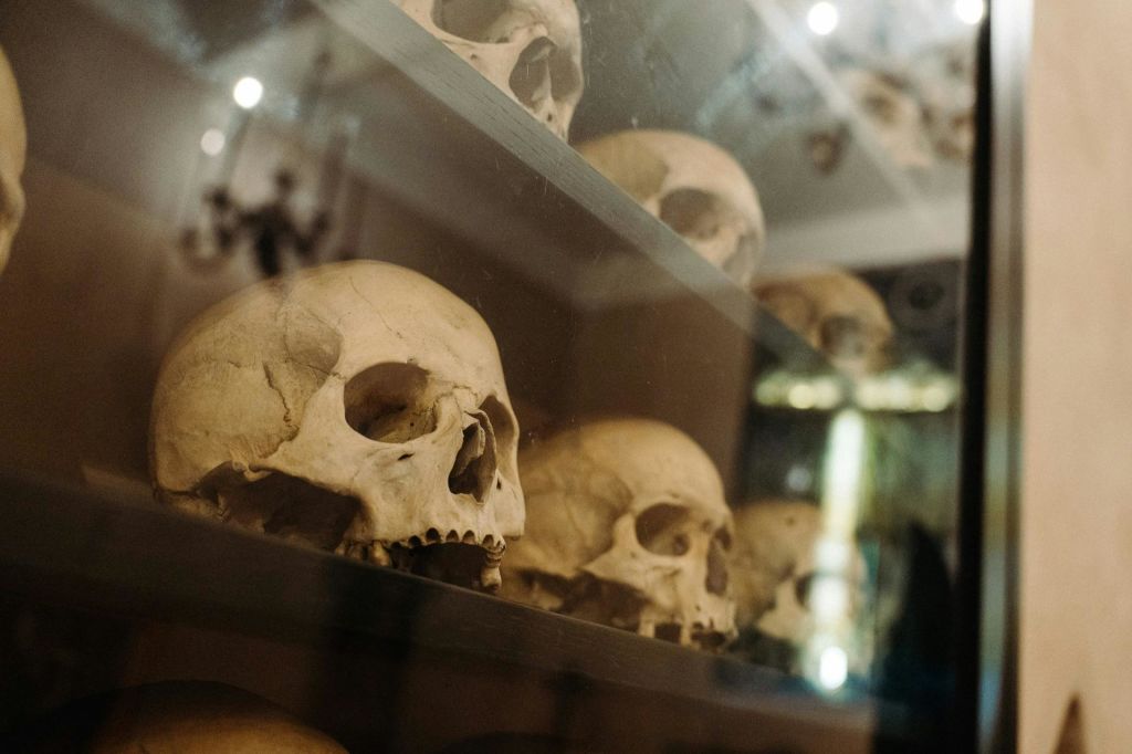 텍스트는 이미 영어로 되어 있습니다.