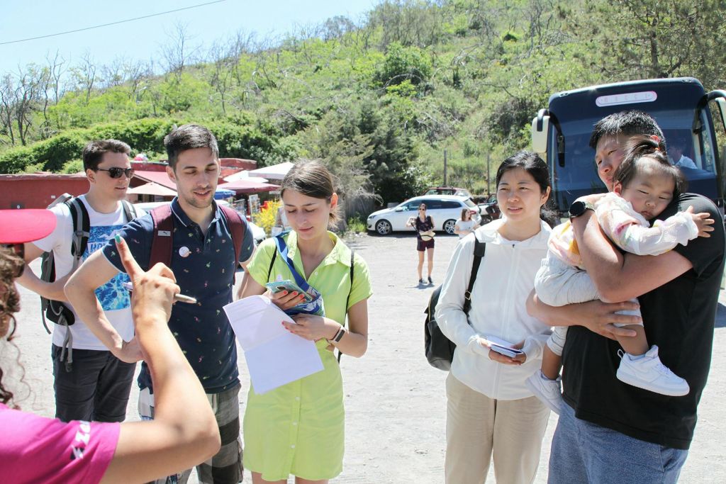 vesuvius Tour 이미지