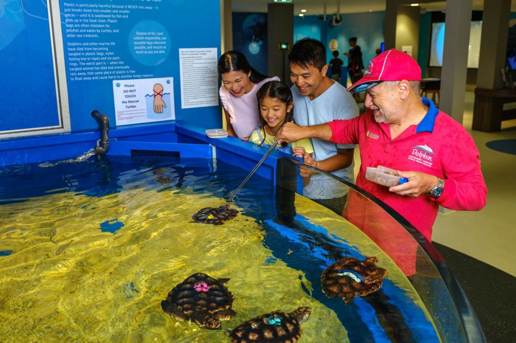 거북이 구조 및 재활 스테이션에서 수유하기