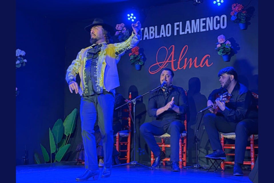 'Tablao Flamenco Alma' 라는 무대에서 무용수, 가수, 기타리스트와 함께하는 플라멩코 공연.