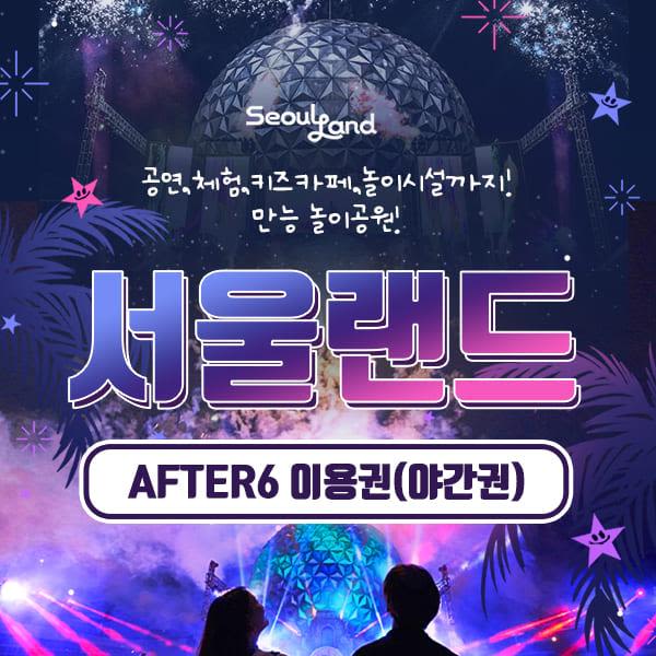[경기 과천] 서울랜드 AFTER6 이용권