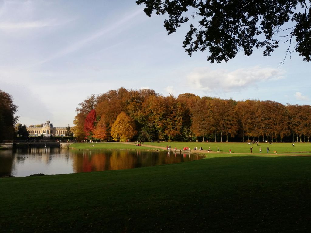 넓은 잔디밭이 있는 공원, 가을색 나무가 반사된 연못, 산책하는 사람들, 흐린 하늘 아래를 배경으로 한 건물.