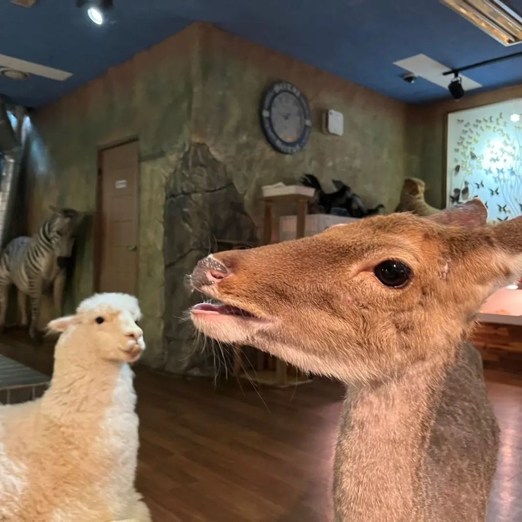 와우쥬 본점