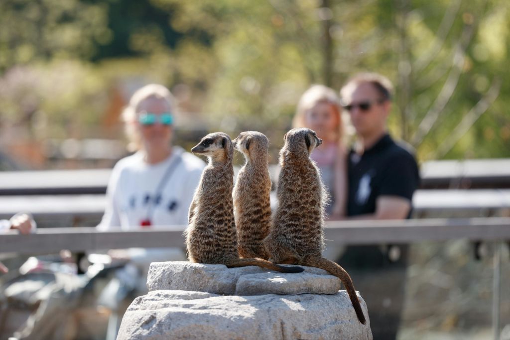 코펜하겐 동물원