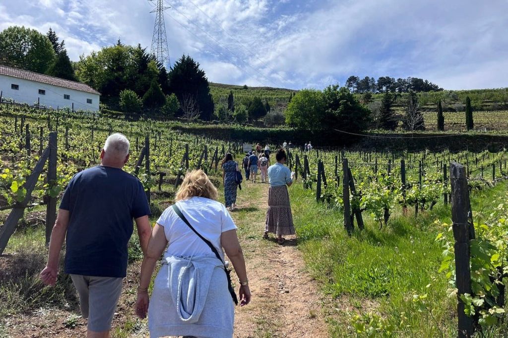 화창한 날씨에 흙길을 따라 포도밭을 거닐고 있는 한 무리의 사람들이 나무와 전원선을 배경으로 이야기를 나누고 있습니다.
