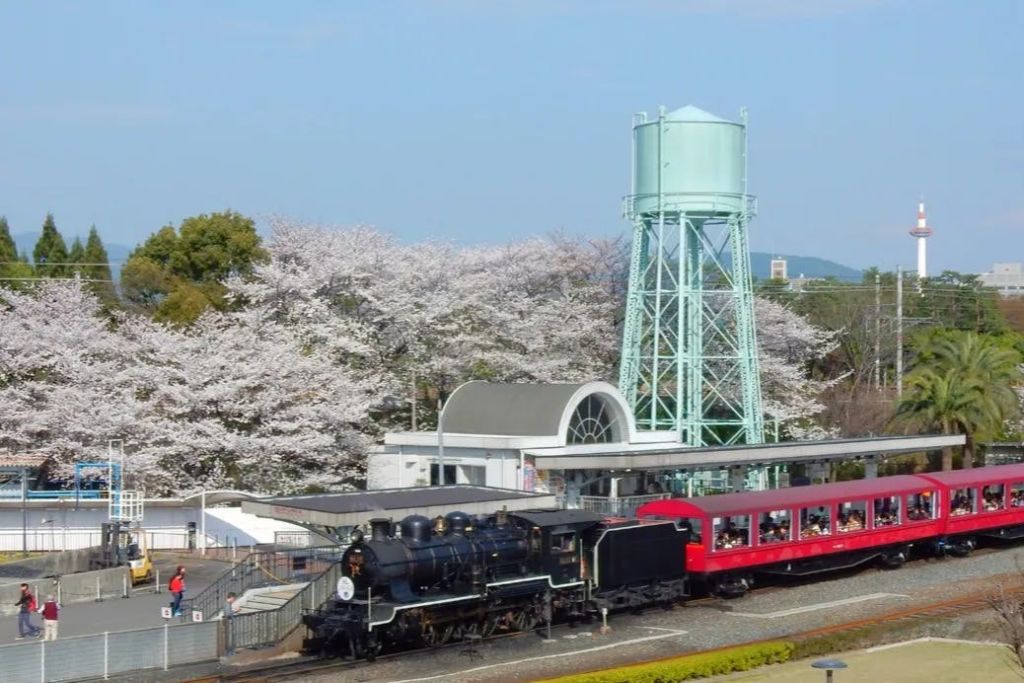 붉은 승용차를 끌어당기는 증기 기관차가 급수탑 근처를 지나고 맑은 하늘 아래 벚꽃이 피어 있습니다.