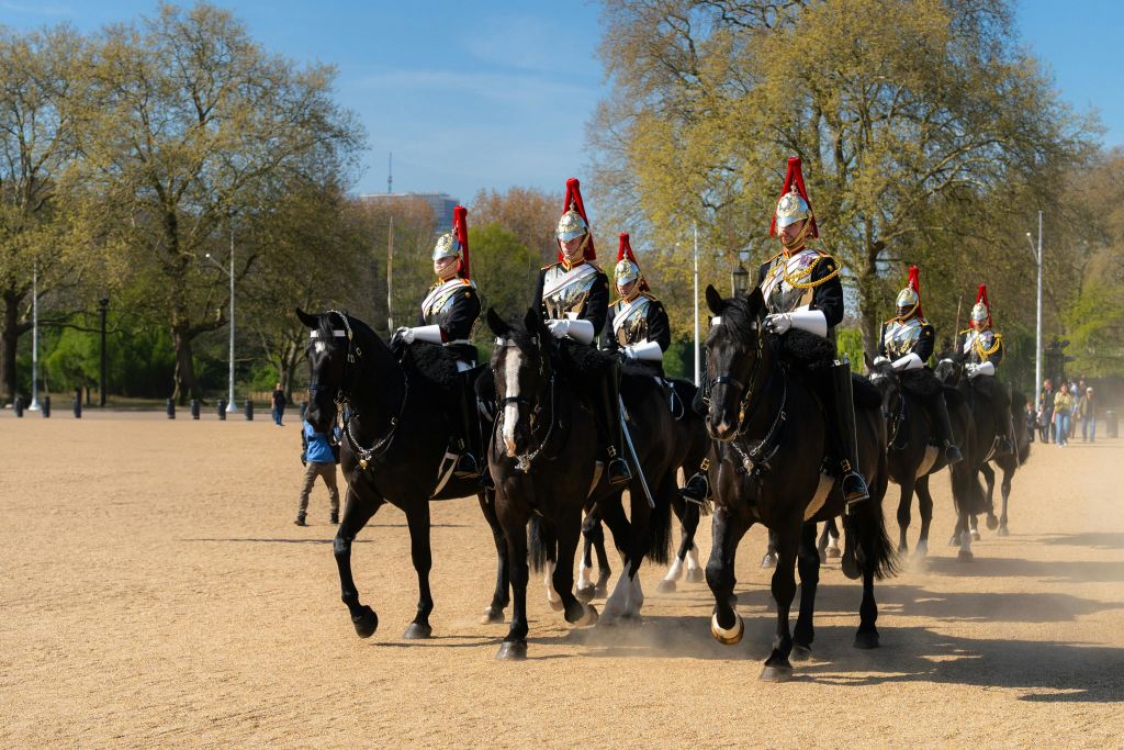 나무를 배경으로 한 탁 트인 공간에서 붉은 무늬의 투구를 쓰고 말을 타고 있는 의식용 경비병 무리.