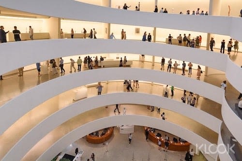 프랭크 로이드 라이트(Frank Lloyd Wright)는 조개 껍질의 오목한 선에서 영감을 받아 나선형 내부 경사로를 설계했습니다.