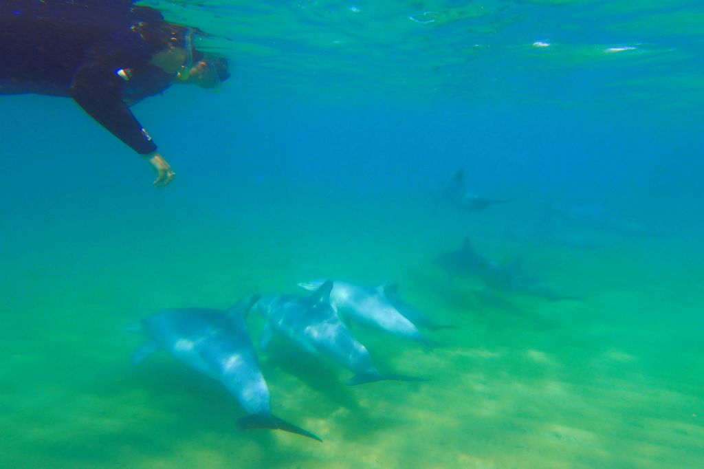 잊을 수 없는 나만의 특별한 경험.