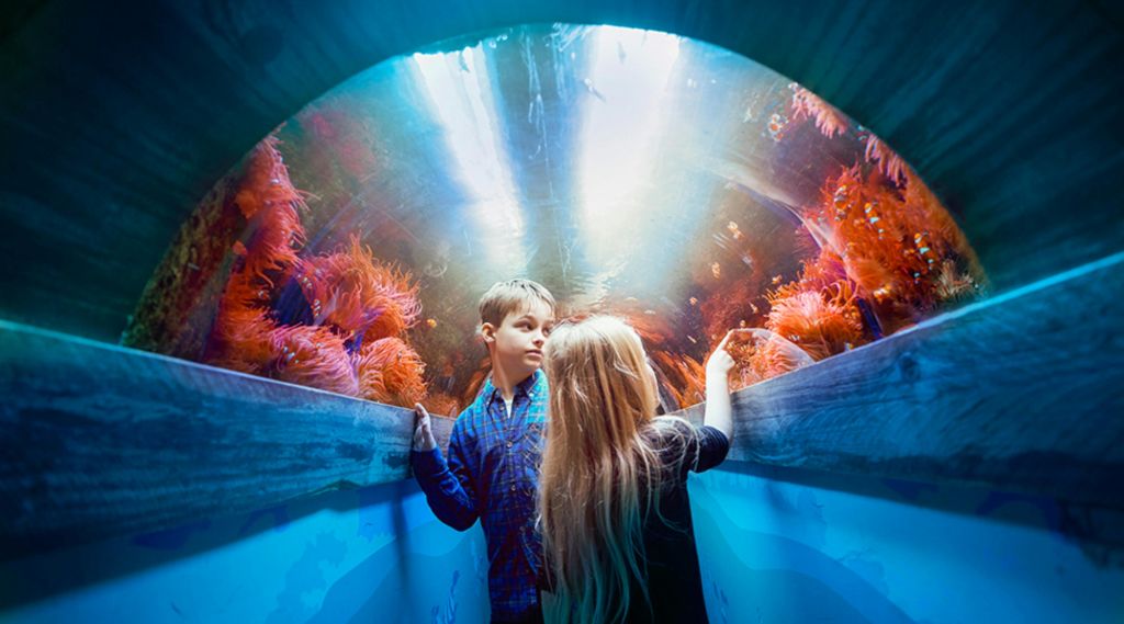 수족관 내부에서 파란색과 흰색 빛으로 빛나는 주황색 바다 아네모네를 바라보는 수중 터널의 두 어린이.