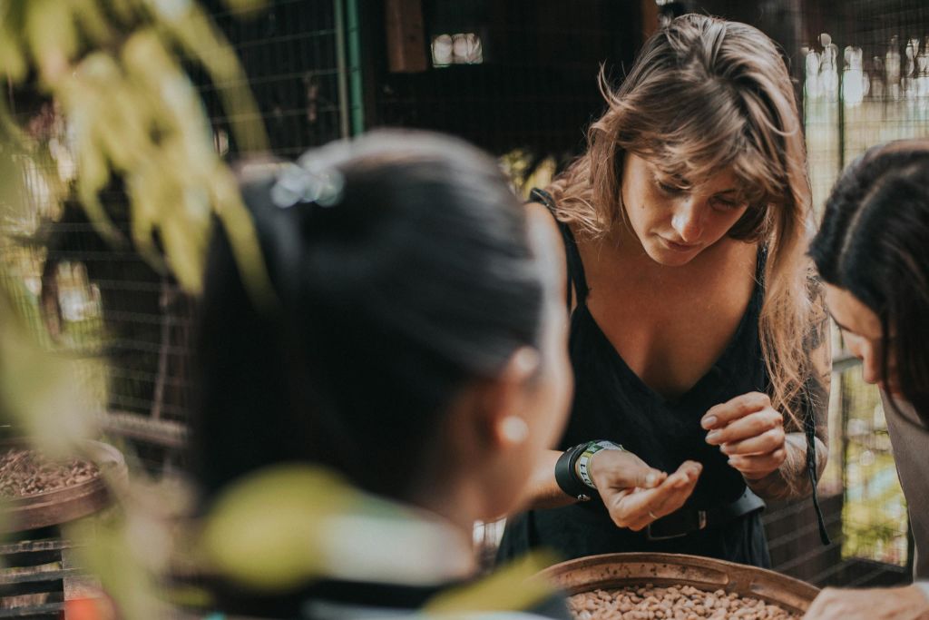 발리 우붓 테갈랄랑의 알라스 하룸 스윙 농경 투어