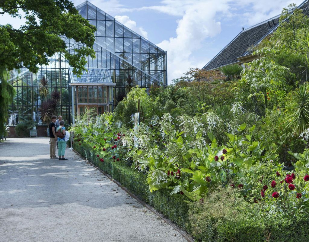 울창한 정원 식물과 꽃 옆의 자갈길에 서 있는 사람들로, 커다란 유리 온실과 인접해 있습니다.