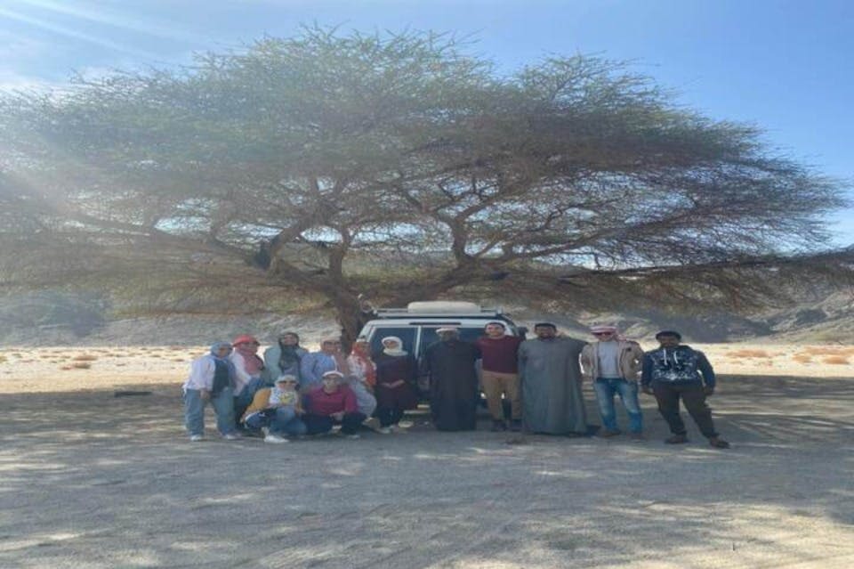 마르사 파도 사막 투어