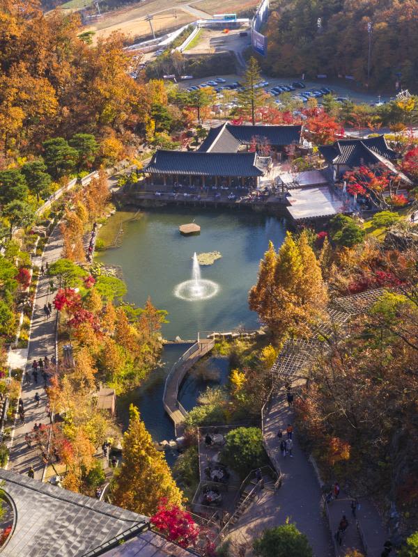 Hwadamsup(Hwadam Botanic Garden) Admission Ticket: Best Autumn Foliage Near Seoul