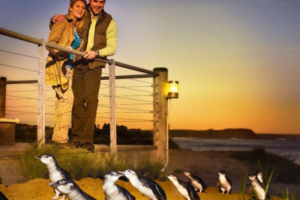 퍼레이드의 펭귄