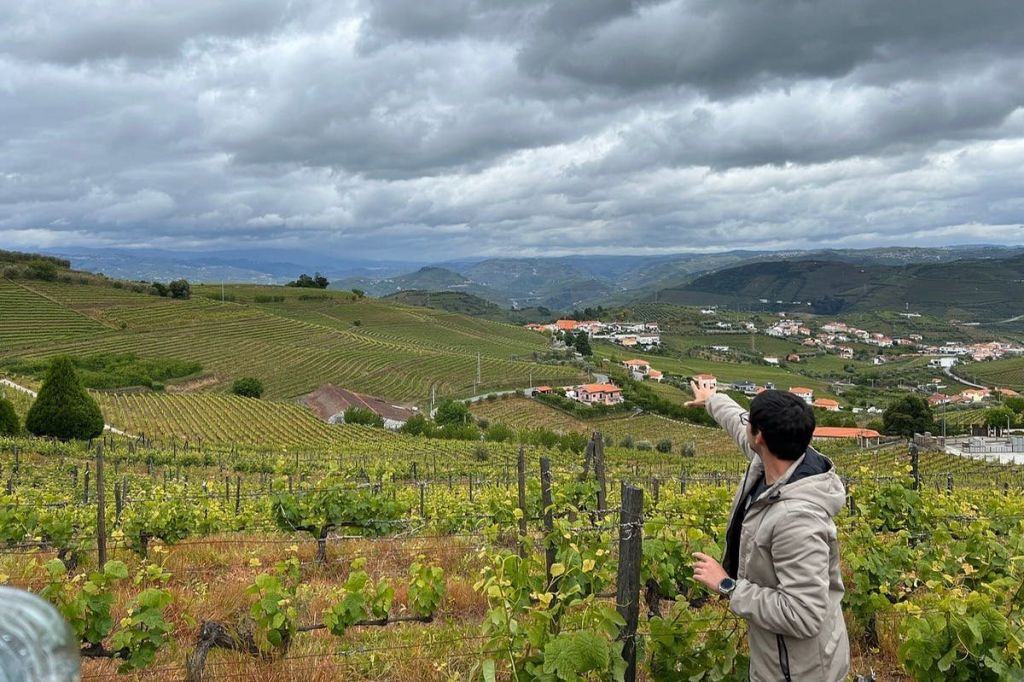 도우루밸리 와인 농장 방문