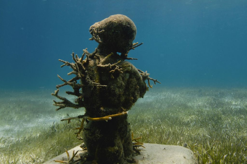 해초로 둘러싸인 산호초로 덮인 수중 동상은 푸른 물을 통과하는 햇빛 필터링으로 빛을 발합니다.