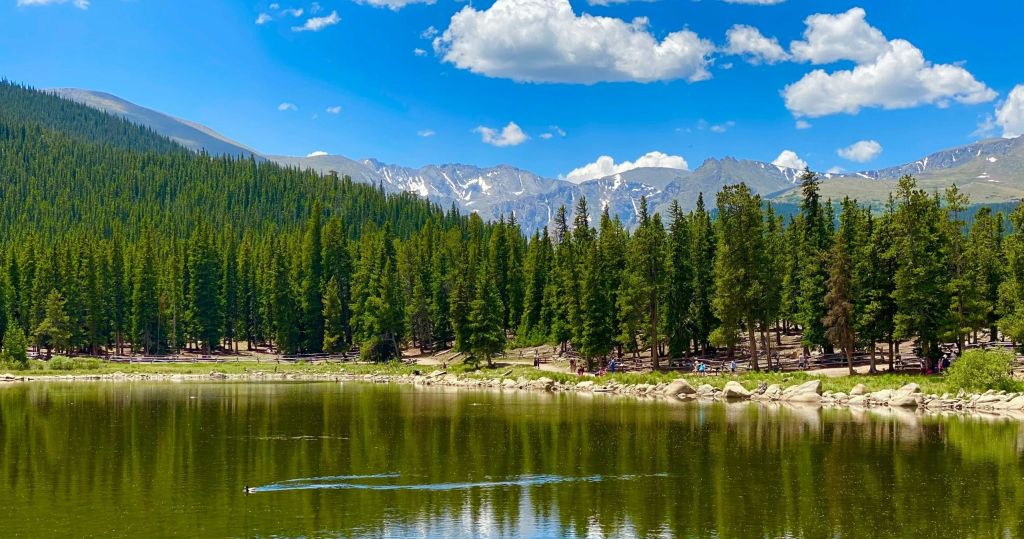 밝은 푸른 하늘 아래 배경으로 눈 덮인 봉우리가 있는 소나무로 둘러싸인 고요한 산악 호수.