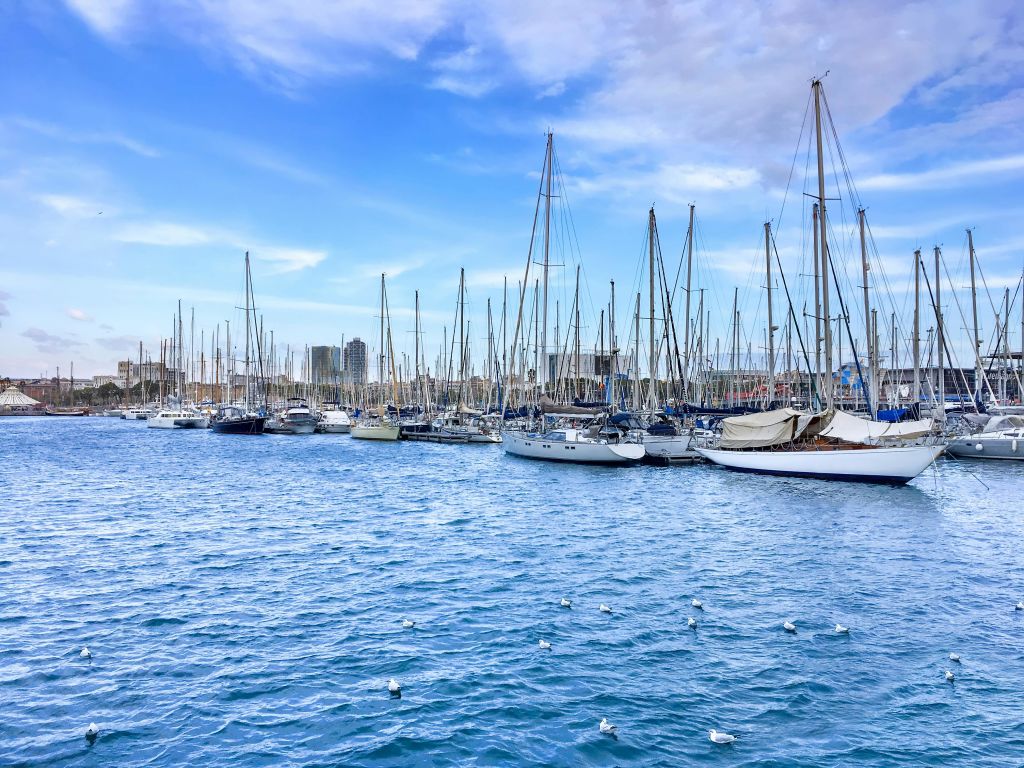 잔잔한 물 위에 갈매기가 있는 정박지에 수많은 범선이 구름이 깔린 푸른 하늘 아래 정박해 있었다.