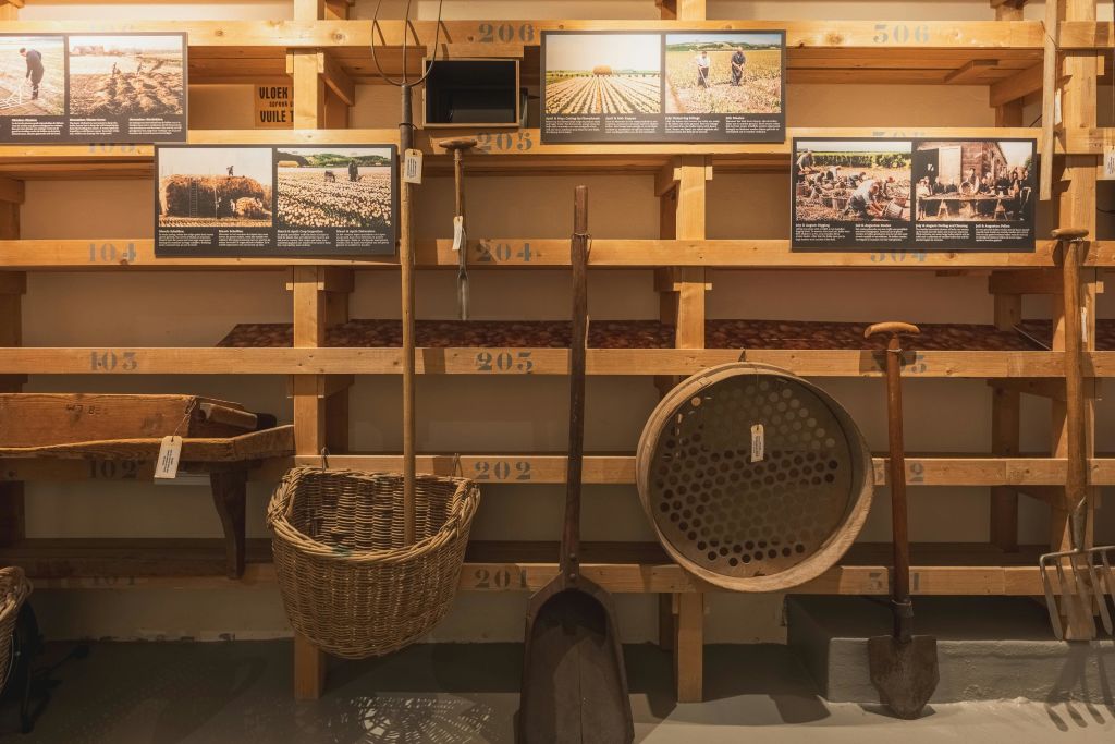 빈티지 농기구, 고리버들 바구니, 역사적인 농업 사진과 자막이 있는 나무 선반 디스플레이.