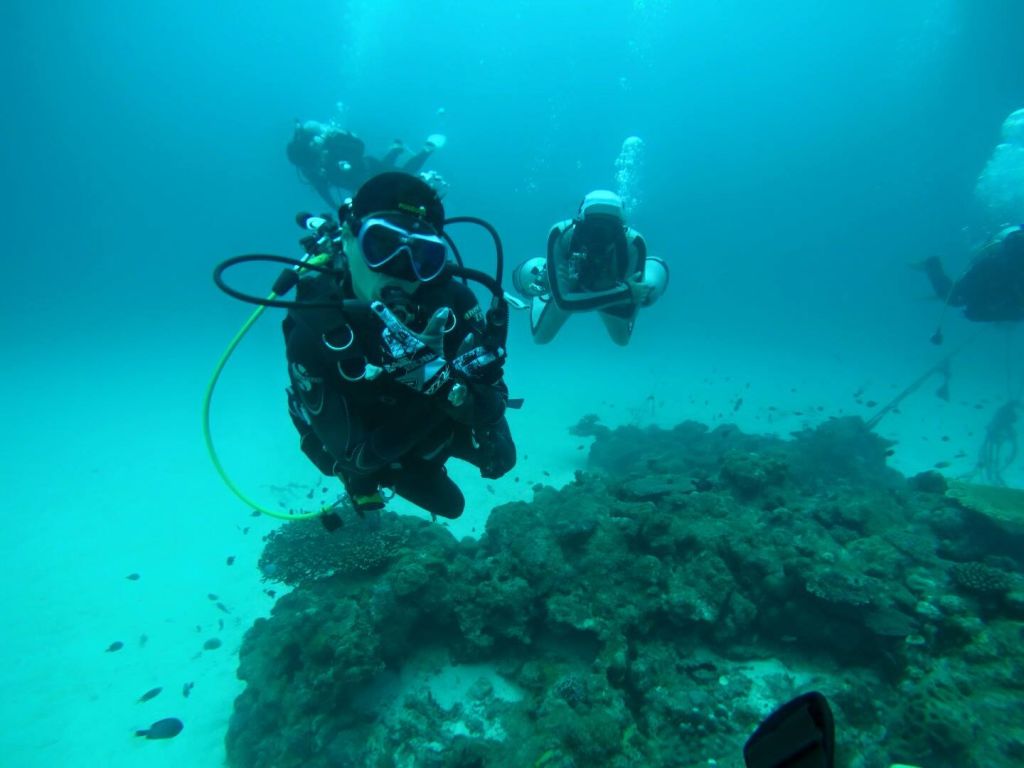 济州岛Eco Divers：专业西归浦水肺潜水体验| NOL World