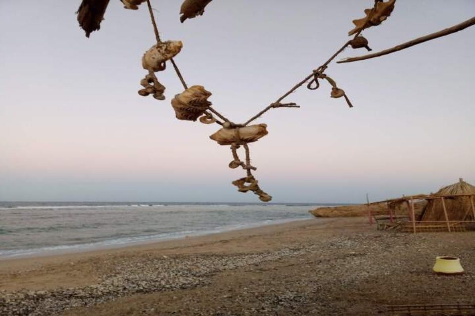 relax-El Quseir