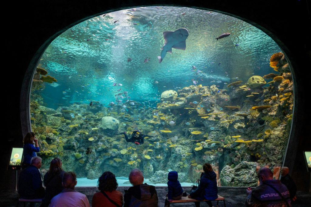 더 리프 – 오션 파빌리온