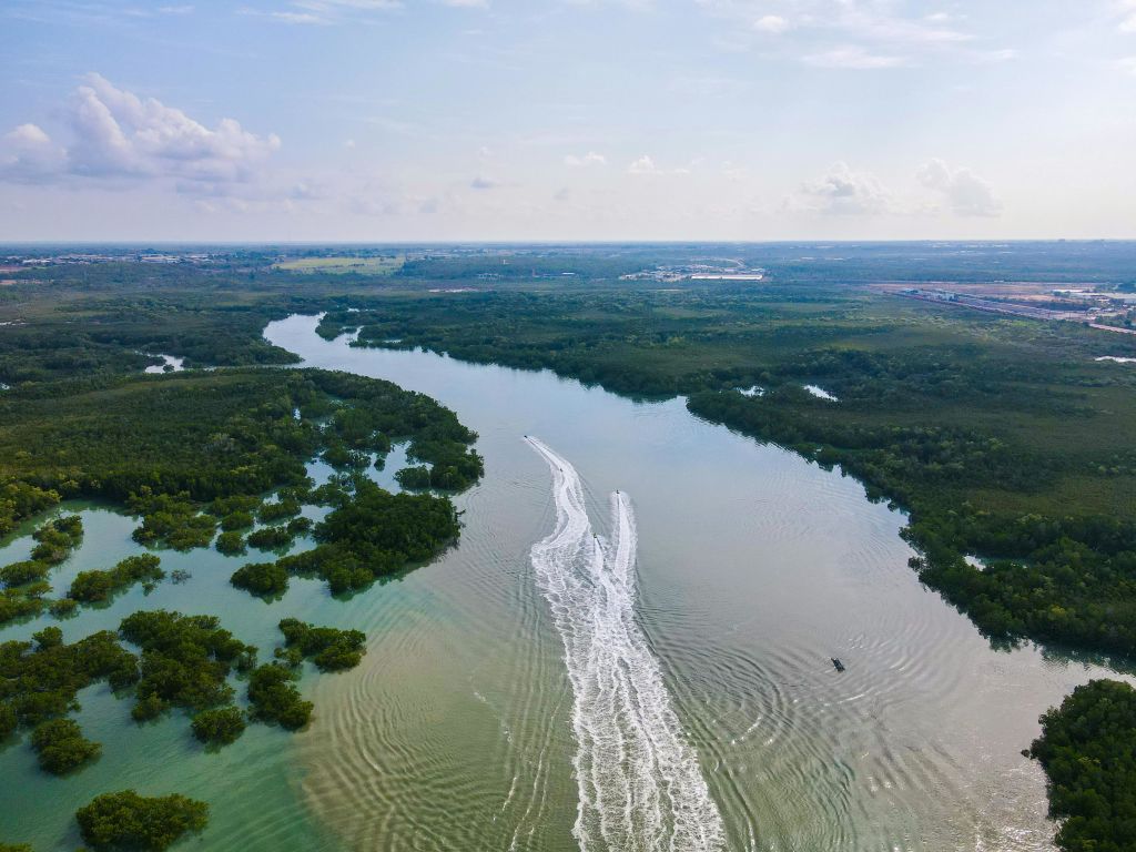 물 위에서 보트가 깨어나는 패턴과 맑은 하늘이 있는 푸른 숲을 가로지르는 강물의 공중 전망.