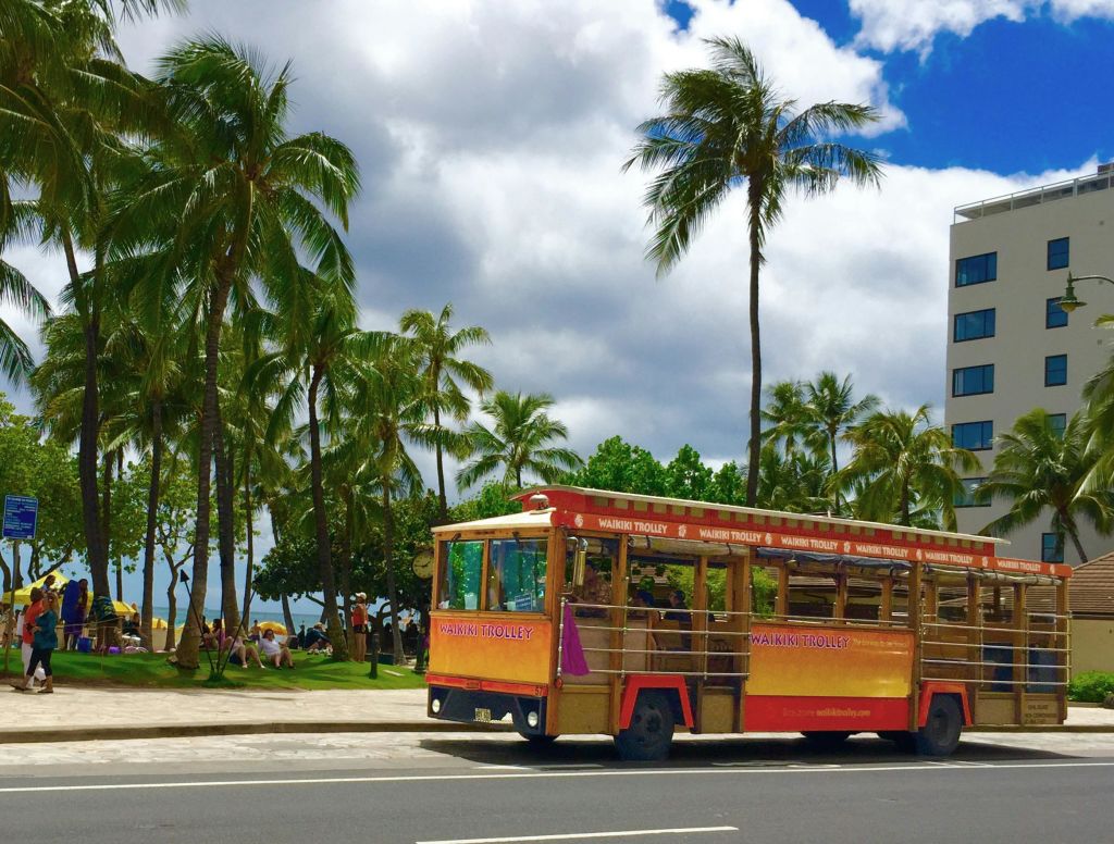 야자수와 사람들이 배경으로 앉아 있는 길에 '와이키키 트롤리' 라고 적힌 빨간색과 노란색 노천 트롤리가 있습니다.