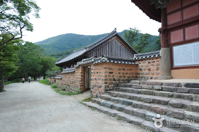 선운사