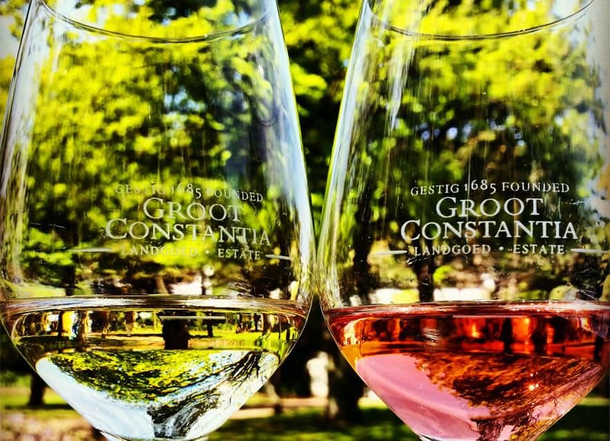 그루트 콘스탄티아 (Groot Constantia) 브랜드가 새겨진 와인잔 두 개, 화이트 와인과 로제를 곁들인 와인잔 한 개, 야외를 배경으로 녹음이 우거진 와인잔 두 개.