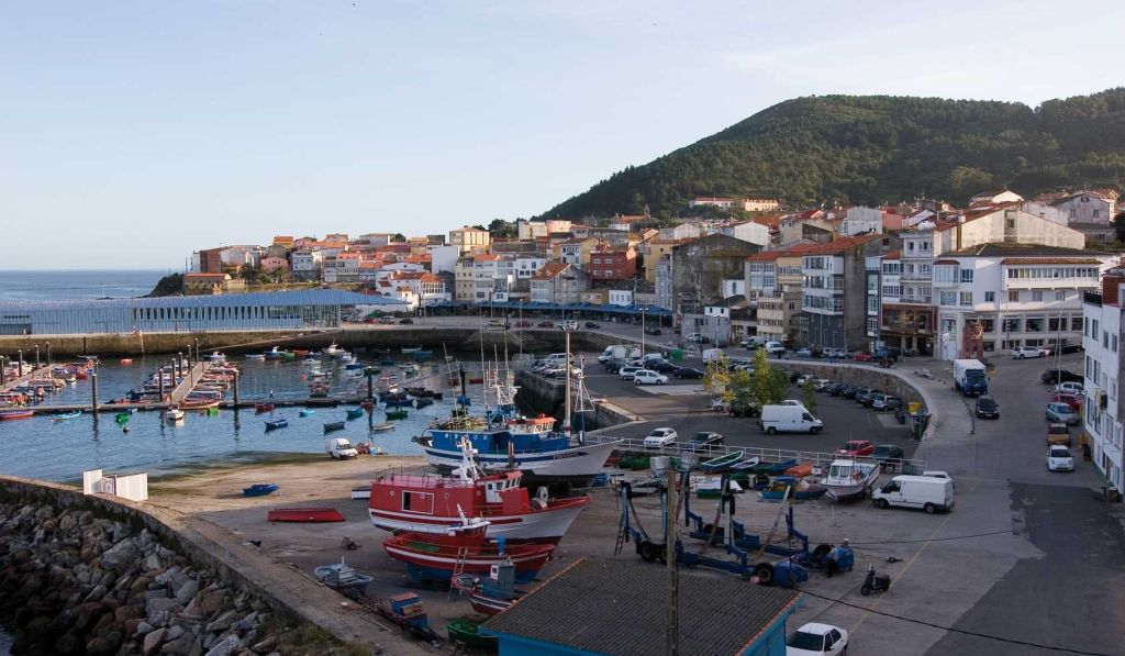 정박한 어선, 다리, 주택, 주차된 차, 숲이 우거진 언덕을 배경으로 한 해안 마을입니다.