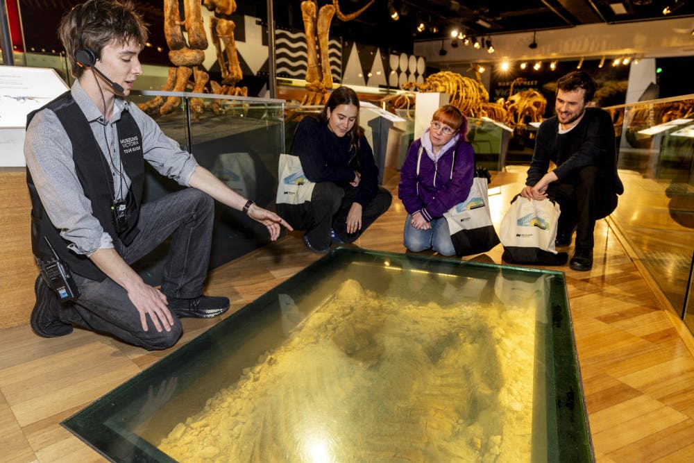 헤드셋을 든 가이드가 바닥에 있는 화석을 향해 제스처를 취하고, 두 사람이 쭈그리고 앉아 화석을 유심히 관찰합니다.