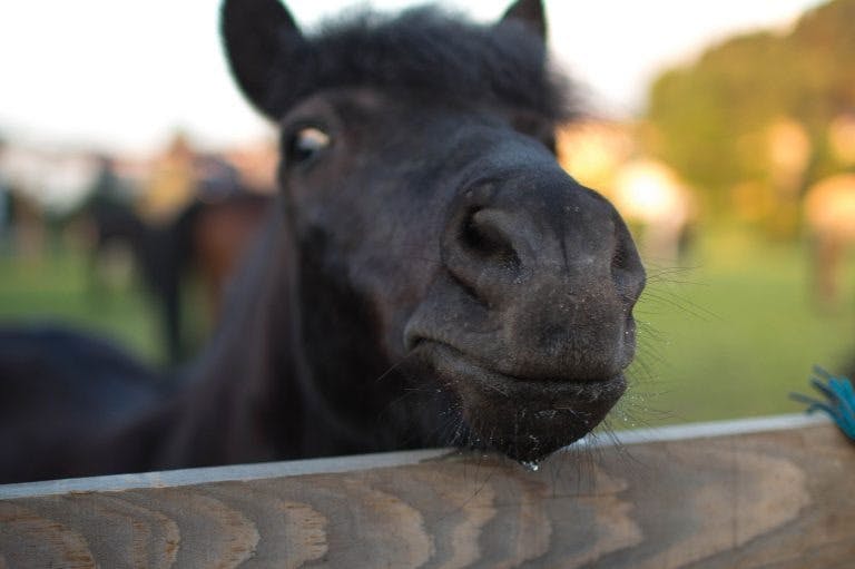단 하나의 사랑