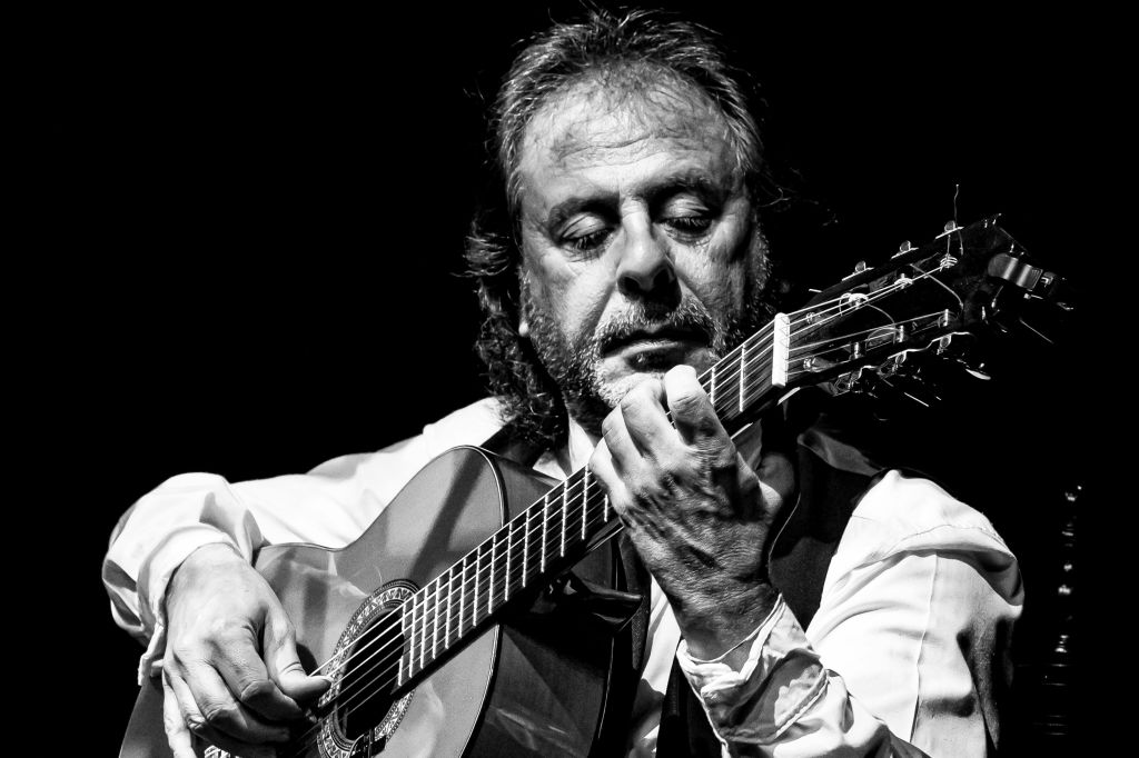 Antonio Andrade, 기타리스트