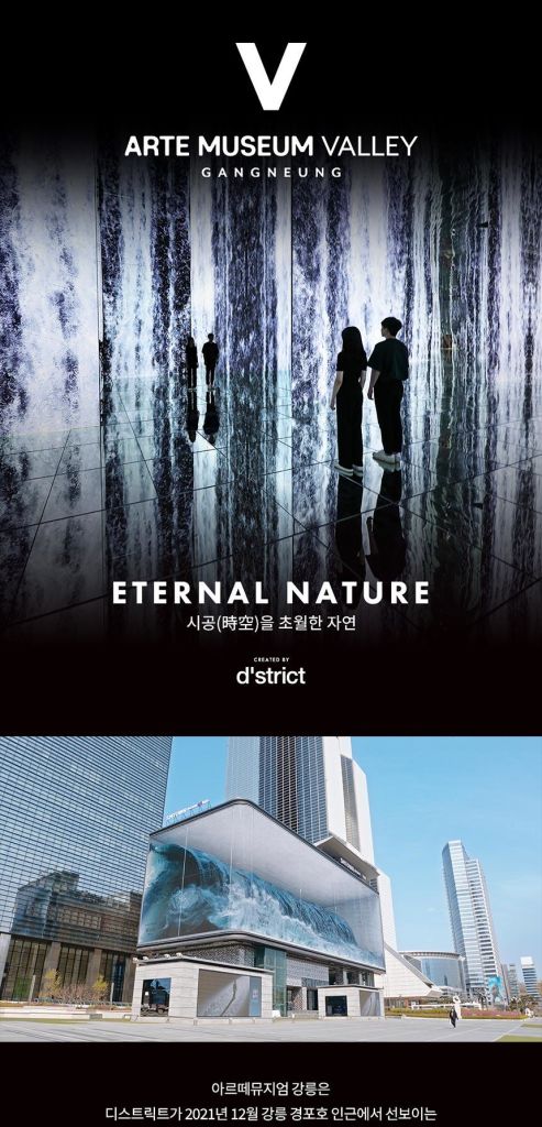 강릉 아르떼 뮤지엄 - 트리플 투어티켓