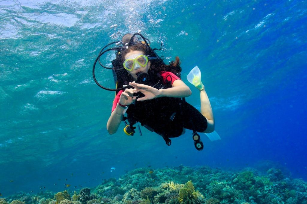 후르가다: 가이드와 함께하는 스쿠버다이빙 체험 + 왕복 교통편 + 점심 식사