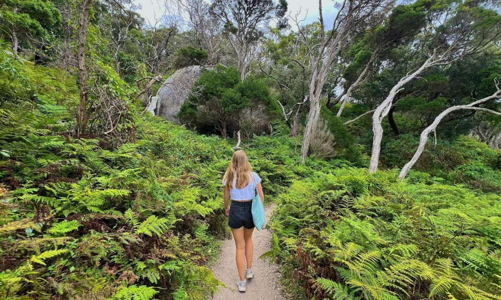 높은 나무와 덤불이 우거진 숲 속 빽빽한 푸른 초목 사이로 한 여성이 흙길을 걷고 있습니다.