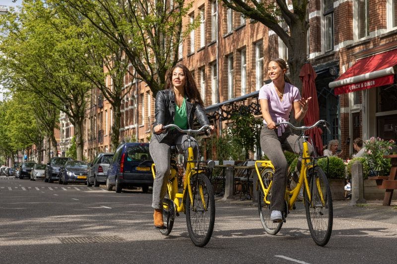 주차된 자동차와 벽돌 건물을 배경으로 나무가 우거진 거리에서 노란색 자전거를 타는 두 명의 여성.