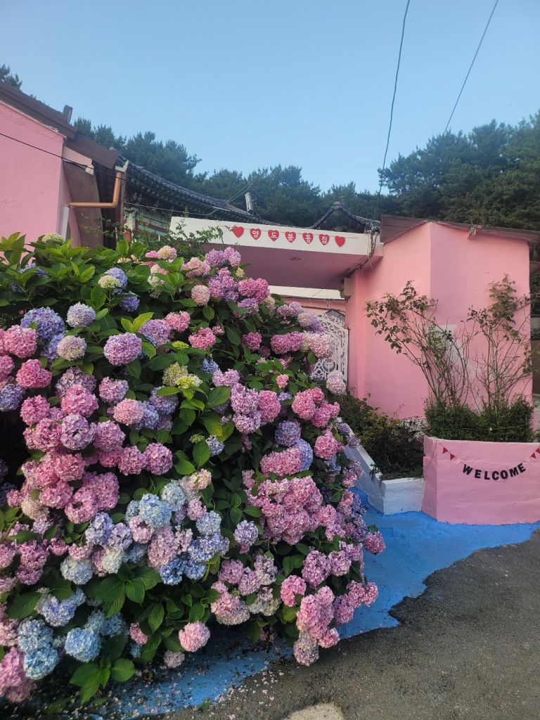 영도 분홍집