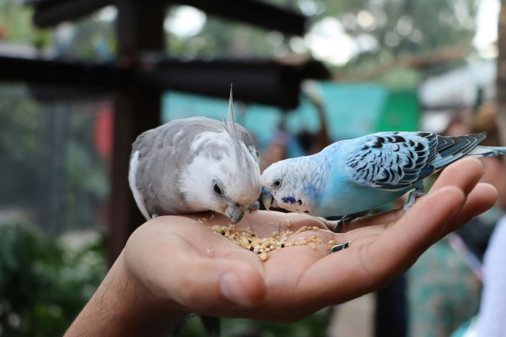 미친아쿠아리움과달라하라