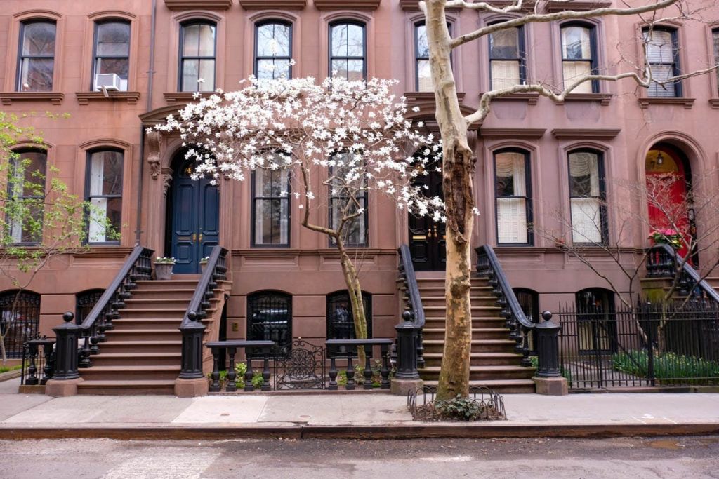 두 개의 계단이 있는 브라운스톤 건물, 하얀 꽃이 만발한 나무, 보도에 있는 맨발의 나무.