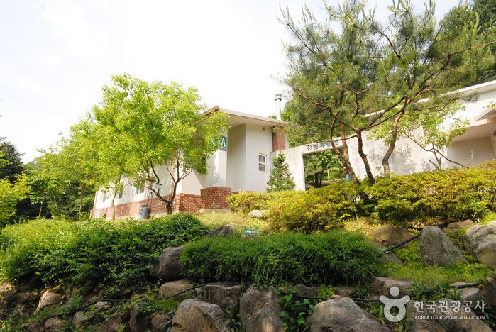 [가평] 청평 자연 휴양림