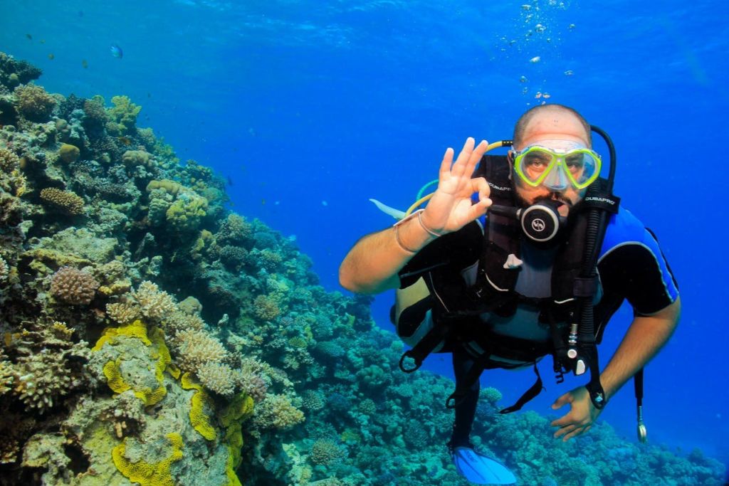 후르가다: 가이드와 함께하는 스쿠버다이빙 체험 + 왕복 교통편 + 점심 식사