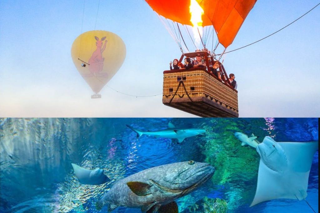 안에 사람이 있는 열기구가 캥거루 이미지가 있는 다른 풍선과 함께 하늘에 떠 있습니다. 아래에는 물고기와 상어가 수족관에서 수영하고 있습니다.