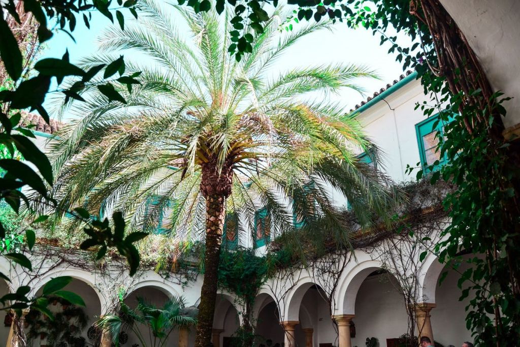 흰색 아치로 둘러싸인 안뜰에 커다란 프론트가 있는 야자수와 청록색 창틀이 있는 2층 건물.